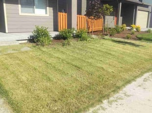Steve V.'s Lawn Care service result