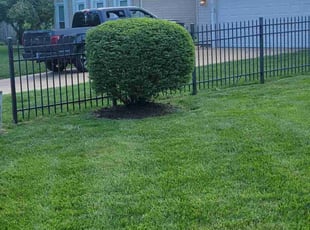 Bush Trimming by William Hovemeyer for Brett H. in Virginia Beach, VA
