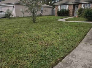 Thomas G.'s Lawn Care service result