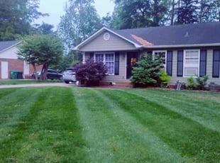 DJ M.'s Lawn Maintenance service result