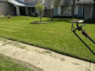 Taylor L.'s Lawn Care service result