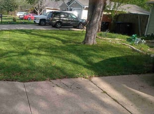 Austin G.'s Lawn Mowing service result