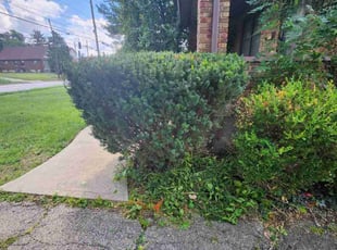 Bush Trimming by Kevin Philips for Lashawnda S. in Cincinnati, OH