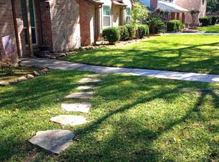 Frank B.'s Yard Cutting service result