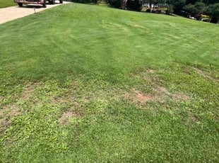 Weeding by Zantonio Stewart for Jamie P. in Lithia Springs, GA