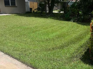 Victor F.'s Yard Cutting service result