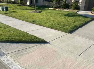 Dexter P.'s Yard Cutting service result