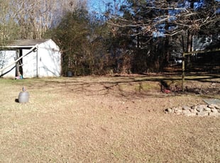 Cleanups by Sheila Twiggs for Justin B. in Stone Mountain, GA