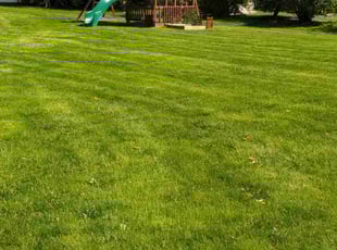 Jane W.'s Lawn Mowing Service service result