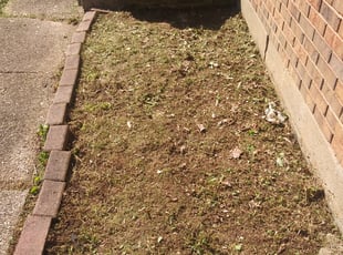 Cleanups by Chris Slone for Hannah T. in Louisville, KY