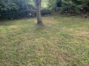 Cleanups by Eric Buckner for Wayne M. in Jennings, MO