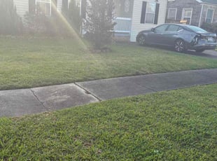 Pat C.'s Lawn Mowing service result