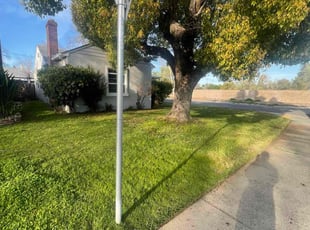 Zaida B.'s Lawn Maintenance service result