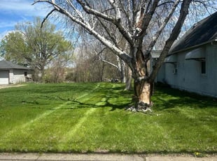 Ralph S.'s Lawn Service service result