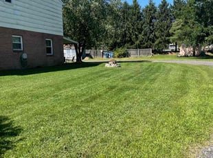 P R.'s Lawn Mowing service result