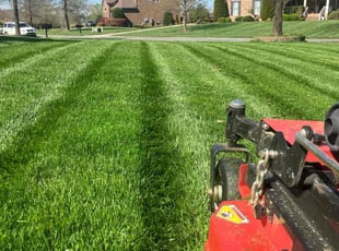 Nicholas K.'s Lawn Maintenance service result
