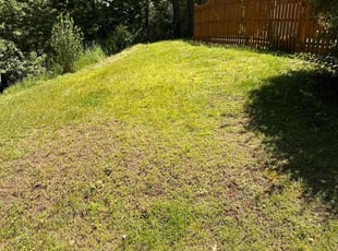 Donna W.'s Lawn Mowing service result