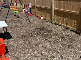 Bush Trimming by Pedro Benitez Amaya for Nae J. in Gambrills, MD