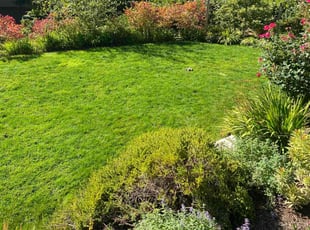 Ron H.'s Lawn Mowing Service service result