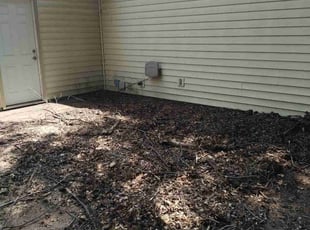 Cleanups by Frank Bennett for Matthew L. in Kansas City, MO