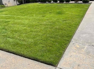 Lily D.'s Grass Cutting service result