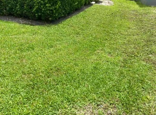 Cleanups by Ashanti Tyler for Wilce L. in Windermere, FL