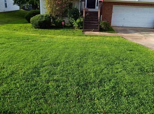 Michelle M.'s Lawn Service service result
