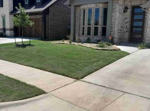 KRISTA Y.'s Grass Cutting service result