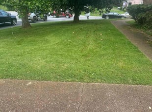 Mattie G.'s Lawn Care service result