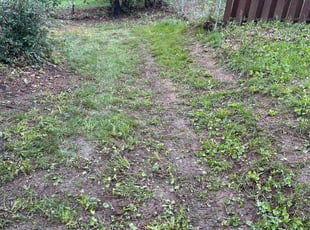 Leaf Removal by Shawn Byers for Aaron L. in Parkville, MO