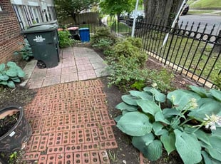 Weeding by Fidel Rodriguez for Norbert K. in Washington, DC