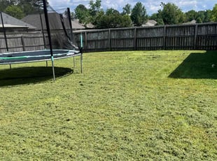 Margaret D.'s Lawn Service service result