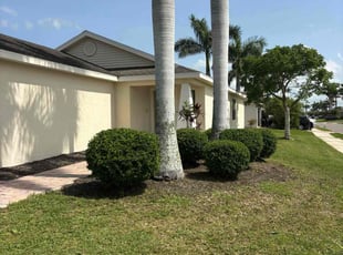 Bush Trimming by Ben Conlon for Samantha S. in Bradenton, FL