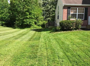 Leaf Removal by Kareem Bonner for Jasmyn N. in Amelia, OH