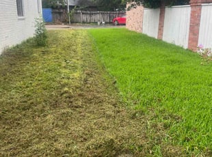 Susana R.'s Lawn Mowing service result