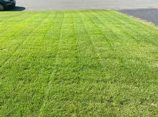 Vicky S.'s Lawn Mowing Service service result
