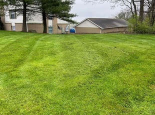 Joseph C.'s Lawn Mowing service result