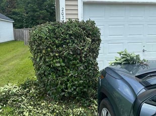 Bush Trimming by Antwain Turner for Margaret B. in Ladson, SC