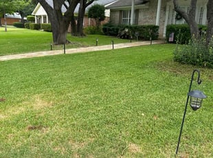 Eric P.'s Lawn Mowing service result