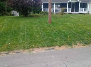 Derriel D.'s Lawn Maintenance service result