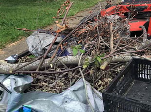 Cleanups by Sheila Brown for Chris W. in Independence, MO