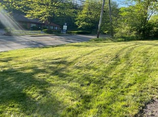 Terry S.'s Lawn Mowing service result