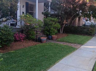 Anna L.'s Yard Cutting service result