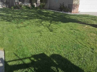 Julie T.'s Lawn Service service result