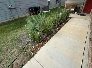 Weeding by Lacy Dixon for Jae R. in Elmendorf, TX