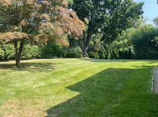 MICHAEL C.'s Yard Cutting service result