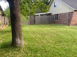 Julie / Lorraine W.'s Lawn Service service result