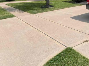 Renee D.'s Lawn Maintenance service result