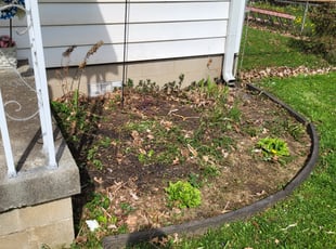 Weeding by Thalia Trinidad for Elizabeth W. in Indianapolis, IN
