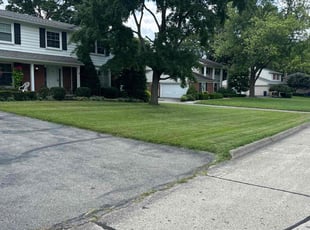 Ryan R.'s Lawn Mowing Service service result